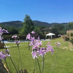 Alba Morus Bed E Breakfast Sentiti A Casa Nel Cuore Della Toscana Bed and breakfast